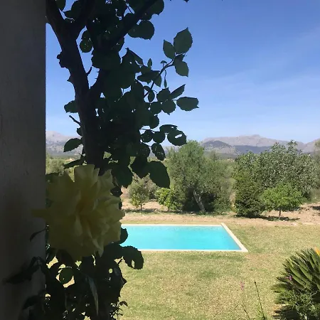Florida Luxury With Huge Pool Pollenca